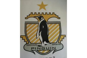 AD PINGUIM FC